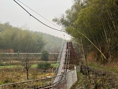 -宁波浙东大竹海景区