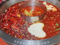 -谭鸭血老火锅(龙湖宝山天街店)