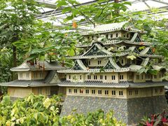 -南宫五洲植物乐园