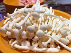 -龍歌自助小火锅(秦淮水游城店)