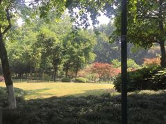 -杭州黄龙洞