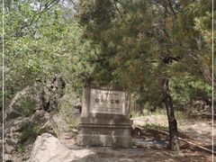 -白水寺森林公园