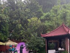 -翠园十八号庭院餐厅