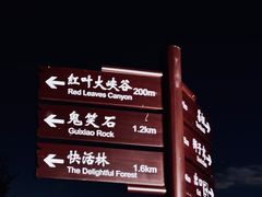 -鬼笑石后山停车场