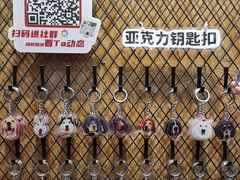 -和它·交个朋友·狗咖猫咖(爱琴海店)
