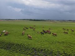 -塞罕坝国家级自然保护区