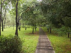 -森林公园(尖草坪区)