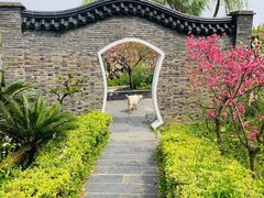 -南汇桃花村