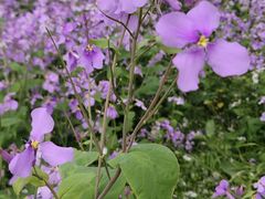 -白塘生态植物园