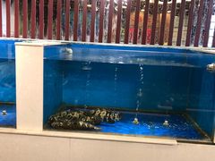 水产区-北塘海鲜·天津菜(大光明桥旗舰店)