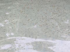 -天赐温泉