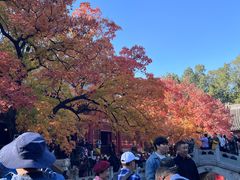 -香山公园-东宫门售票处