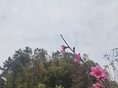 -常德桃花源景区