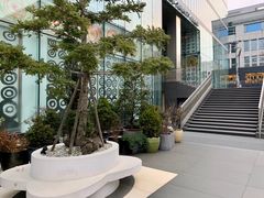 -10 corso como (江南店)