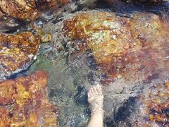 -西涌国际滨海旅游区