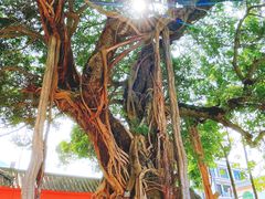 -闽粤南澳总镇府