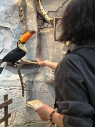 -Zoolung Zoolung动物主题公园(海信广场店)