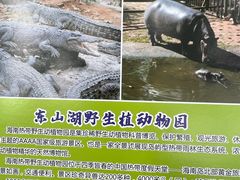 -海南热带野生动植物园
