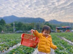 -广州市帽峰山景区
