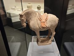 -隋唐大运河文化博物馆