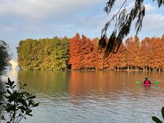 -上海海湾国家森林公园