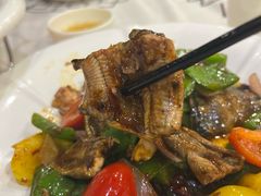 -万年酒楼(越秀南路店)
