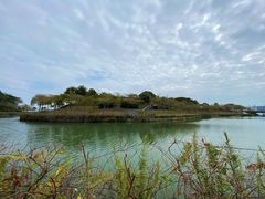 -深圳湾公园(南山区)