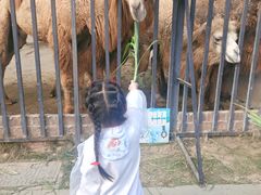 -泉州海丝野生动物世界