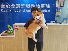 -全心全意连锁动物医院·特色中医诊疗(会城门分院)