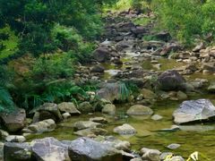 -广州白江湖森林公园