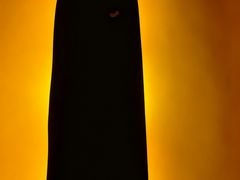 -泰古龙抓龙筋·spa按摩(静安店)