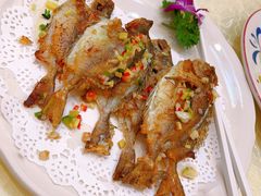 -贺富酒家(白藤二路分店)