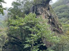 -少华山国家森林公园