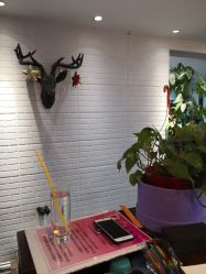 -爱美丽科技美肤中心