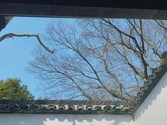 -上海醉白池公园
