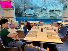 -帝企鹅自助餐厅•儿童岛•真企鹅(长隆企鹅酒店)