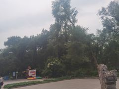 -黑龙江省森林植物园