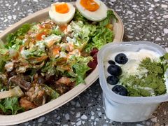-油梨树AVOCADO TREE(望京店)