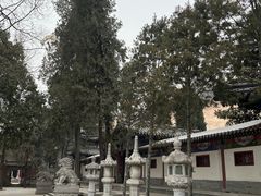 -兴教寺