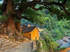 -杨家堂村