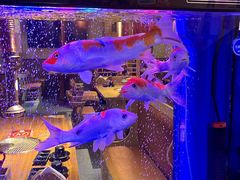 -牛坂亭 . 和牛烤肉海鲜酒场(工农路店)