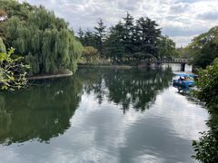 -上海共青森林公园