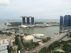 -新加坡瑞士史丹福酒店