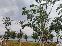 -阳宗海湿地