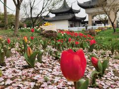 -苏州上方山国家森林公园