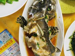 清蒸石斑鱼-板桥海鲜广场(文明东店)