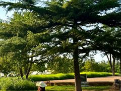 -汉长安城未央宫国家考古遗址公园