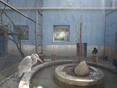 -青藏高原野生动物园