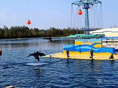 -秦皇岛乐岛海洋王国