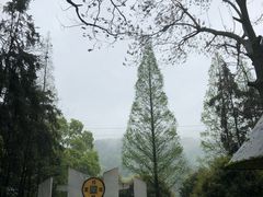 -石燕湖生态旅游景区
